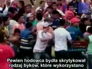 Byk zabił człowieka w Kolumbii
