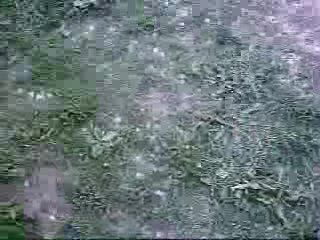 Dreamsy- Zombi