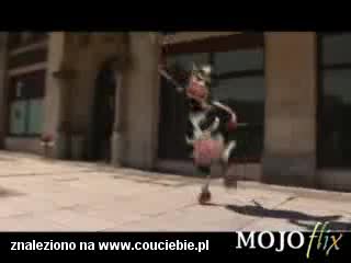 I like too moo moo!