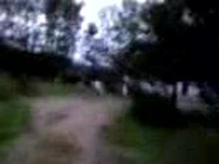 Polowanie na Woja