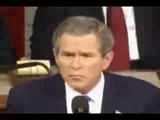 beatbox bush