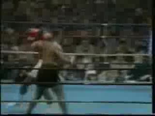 Mike Tyson Tupac 2 Pac Boks Box