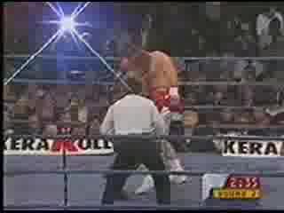 Mike Tyson vs Golota Boks Box