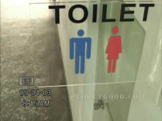 Toilet Sex