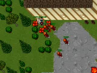 Good Team Tibia Zonk