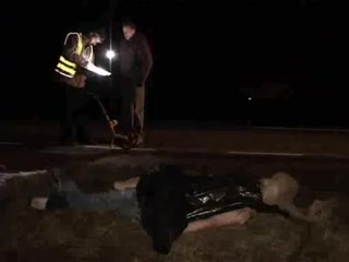 Życie jest zbyt cenne - nie zostawiaj go na drodze