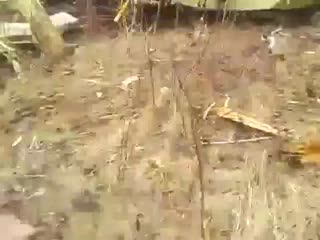 Smoleńsk strzały [Napisy PL] [katastrofa Tu-154 pod smoleńskiem]