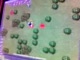 Tibia Rox
