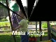 Moje Video