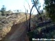 rally crash 2
