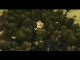 Pixar-Indigen