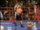 Andrzej Gołota vs. Mike Mollo - 20/01/2008 (skróty)