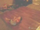 Najlepszyy Dzieciak na świecie który tańczy BreakDance