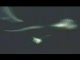 Alien Craft Investigates ISS Module