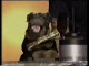 Triumph the insult dog