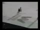 nfl vs nhl