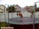 Pies na trampolinie