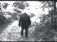 Ciekawe paranormalne zdjecia