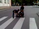 Wypadek na rowerze (prawie jak Kubica;p).flv