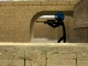 Counter Strike Gun Sounds
