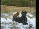 doggy style