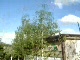 Bystra