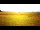 \"Idę Na plażę\" Video - OfICJALNY KLIP