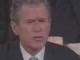 Bloody Sunday Bush