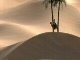 Shadows of War (PC; 2006) - Zwiastun E3 2006