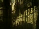 Warhammer: Mark of Chaos - Battle March (2008) - Intro