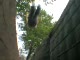 Damien Walters Extreme Parkour