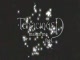 TENACIOUS D - For the Ladies