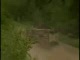 rally jump1