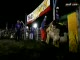 Świńskie rodeo