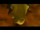 Shrek 4 Polski zwiastun