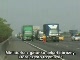 Świnia na autostradzie