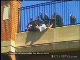 Dramatyczna akcja ratunkowa w amerykańskim stanie Maryland. Policjanci ratowali mężczyznę, który chciał skoczyć z wiaduktu na autostradę. Wszystko nagrały kamery radiowozu.