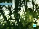 Jogo-Radio