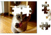 Puzzle- Kot