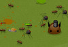 Zabójcze mrówy